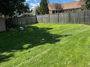 Miriam L.'s Lawn Care service result