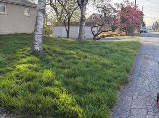 Cleanups by John Sullivan for Reed G. in Steelton, PA
