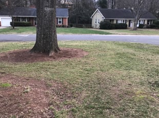 Leaf Removal by Michael Gregory for Martha C. in Charlotte, NC