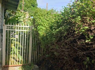Bush Trimming by Manuel Venegas for Marco B. in San Fernando, CA