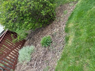 Cleanups by Daren Ferden for Emilee T. in Lansing, MI