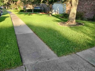 Melissa F.'s Lawn Mowing service result