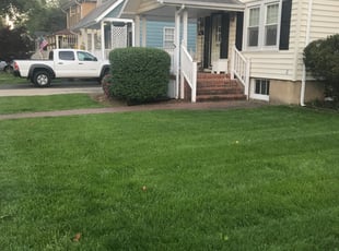 Bush Trimming by Kamonta Hackey for Vicki J. in Alexandria, VA