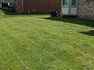 Ronald S.'s Lawn Maintenance service result
