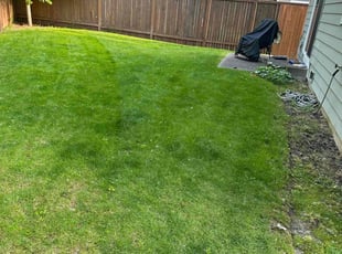 Aeration by Nouri Abdelkader for Yashpal S. in Bothell, WA