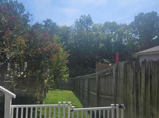 Adria H.'s Lawn Mowing service result