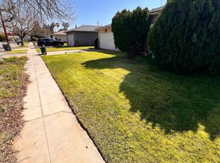 June W.'s Grass Cutting service result