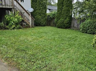 Doug M.'s Lawn Mowing service result