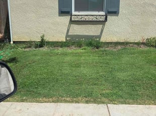 Paul W.'s Yard Cutting service result