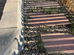 Leaf Removal by Jesse Nunez for Abhilash S. in Littleton, CO