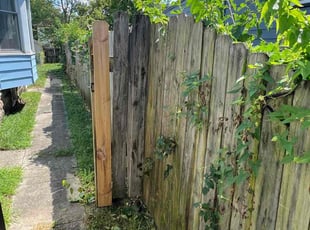 Bush Trimming by Cameron Cordell for Sally P. in Columbus, OH