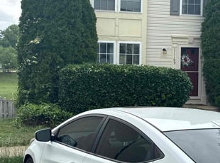 Bush Trimming by Ashley Dawson for Davandra M. in Fredericksburg, VA
