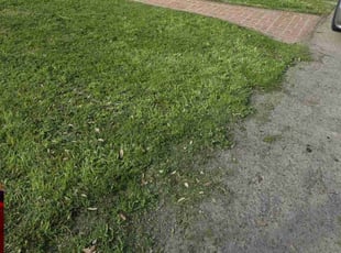Emily K.'s Lawn Care service result