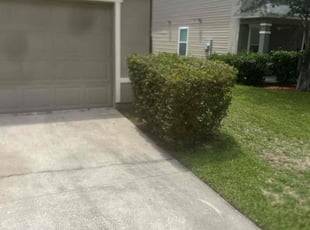 Bush Trimming by Jovan Tribune for Lindsay A. in Jacksonville, FL