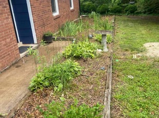 Weeding by Tavis Lindsay for chandler b. in Kernersville, NC