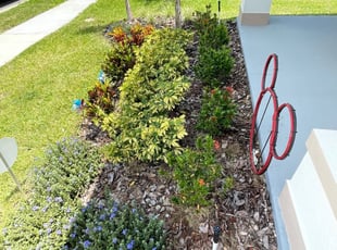 Weeding by Jeff Osbeck for Megan D. in Davenport, FL
