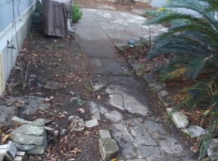 Cleanups by Gregory Carter for Meg F. in Austin, TX