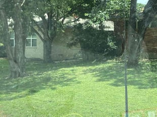 Elizabeth G.'s Grass Cutting service result