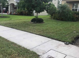 Seun A.'s Lawn Mowing Service service result