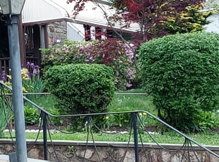 Bush Trimming by Danea Griffin for Constance W. in Philadelphia, PA