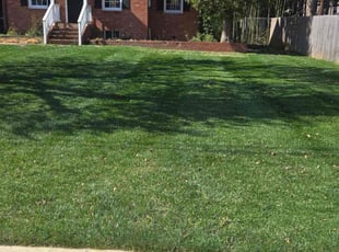 Megan M.'s Lawn Mowing service result