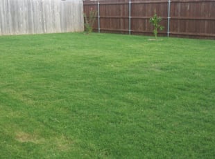 Landscaping by Rosalinda Vasquez for Anthony M. in Fort Worth, TX
