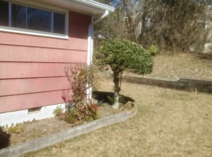 Bush Trimming by Sherman Franklin for Jacob H. in Chattanooga, TN