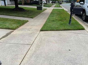 Cathy A.'s Lawn Mowing Service service result