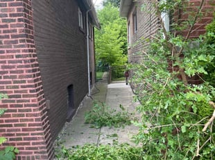 Weeding by Jessica Nesbitt for Jahci W. in Chicago, IL