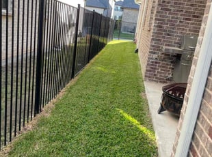 Jeni A.'s Lawn Mowing service result