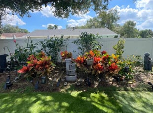Gina B.'s Cleanups service result