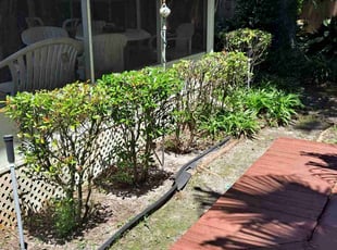 Bush Trimming by John Joens for Penelope R. in Gulf Breeze, FL