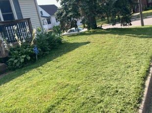 Dan H.'s Lawn Maintenance service result