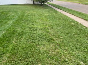 Evelyn C.'s Lawn Care service result