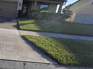Tod P.'s Lawn Care service result