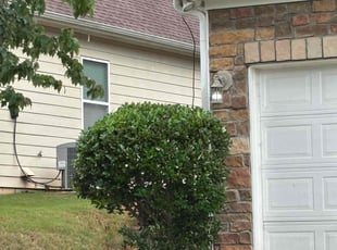 Bush Trimming by Jovon Braddy for Lyndsay M. in Atlanta, GA