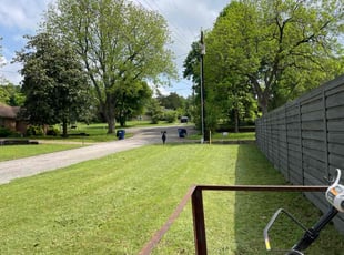 Deandray S.'s Lawn Mowing Service service result