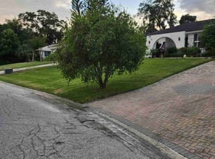 Patrice J.'s Lawn Care service result