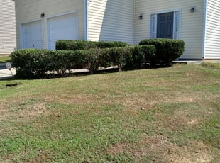 Bush Trimming by Mark Redden for Brittany C. in Riverdale, GA