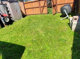 Cleanups by Jack Catlin for Tory P. in Stockton, CA