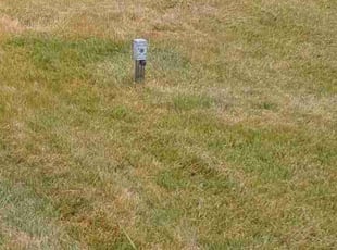 Cleanups by Jr Estell for Nick E. in Sterling Heights, MI