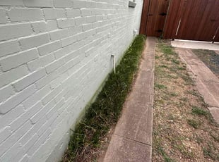 Weeding by Jorge Aguilar for Noa G. in Dallas, TX