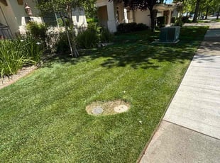 Barbara K.'s Lawn Maintenance service result