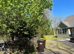 Bush Trimming by Mark Ballard for Celeste R. in Doylestown, PA