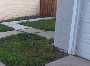 Maria H.'s Lawn Mowing service result