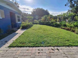 Monica C.'s Lawn Maintenance service result