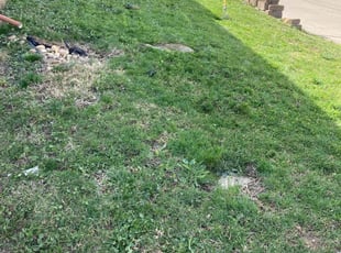 Cleanups by Tim Kirkpatrick for Patricia D. in Kansas City, MO