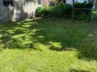 Arthur p.'s Lawn Maintenance service result