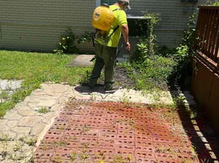 Weeding by Marco Antenor for Camesia M. in Charlotte, NC