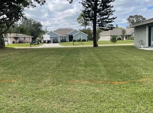 Heidi N.'s Lawn Mowing Service service result